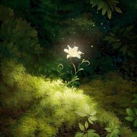Noor
